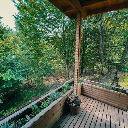 Dagevim Sakarya ホテル *