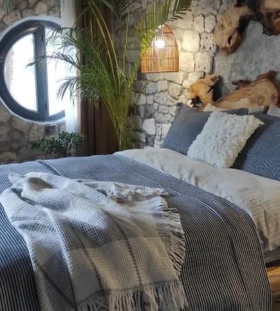 Dagevim Sakarya * Geyve