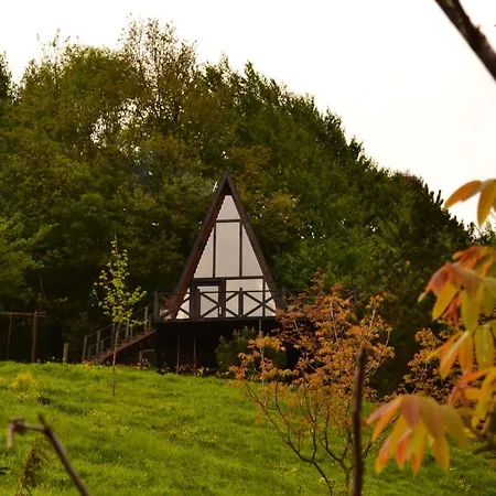 Dagevim Sakarya Hotel *