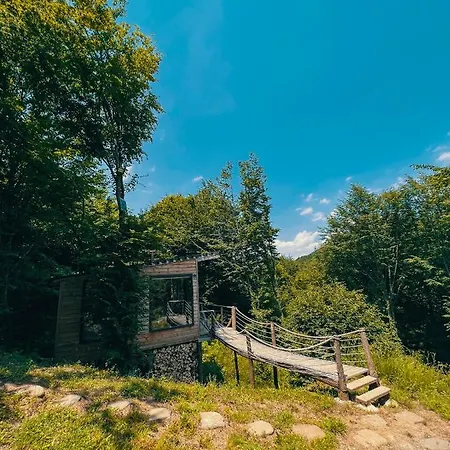 Dagevim Sakarya *